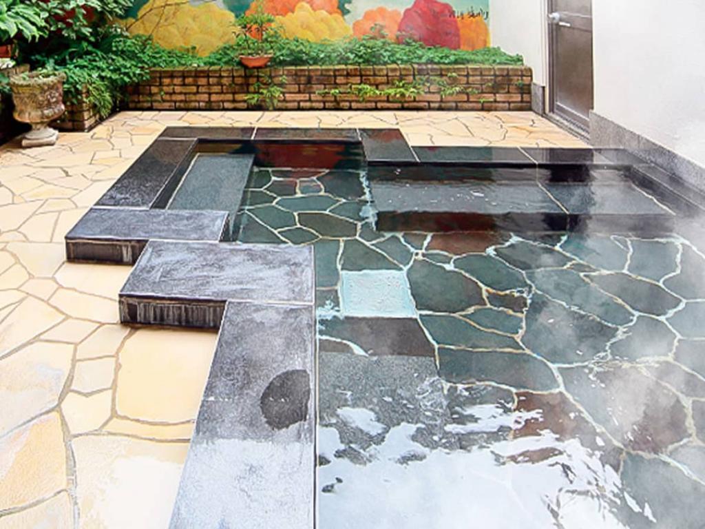 マイカー・交通各自で行く ブリーズベイリゾート下呂 1泊（夕食朝食付）めいほうスキー場リフト券付宿泊パックのイメージ