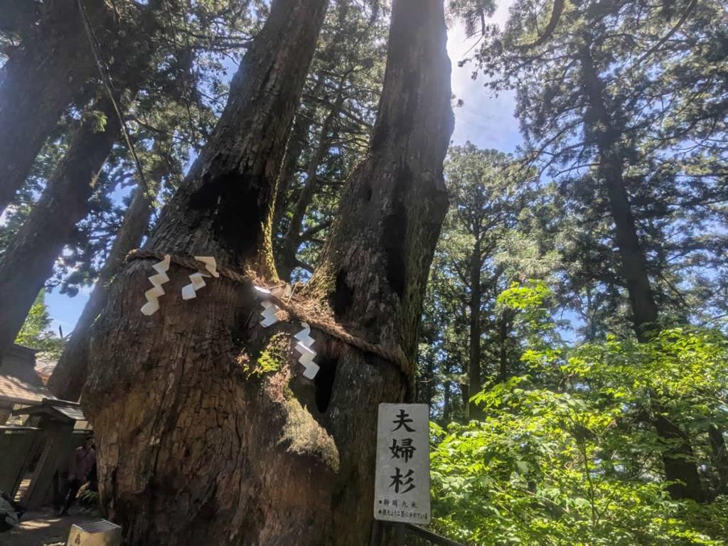 大阪なんば出発 熊野三山奥の院「玉置神社」日帰りバスツアーのイメージ