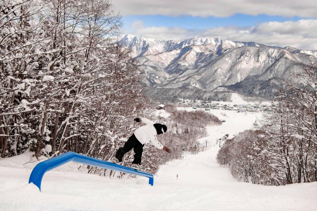 長野駅出発 バスで行く つがいけマウンテンリゾートリフト券付日帰りパックのイメージ